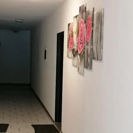 Mk Auberge de jeunesse